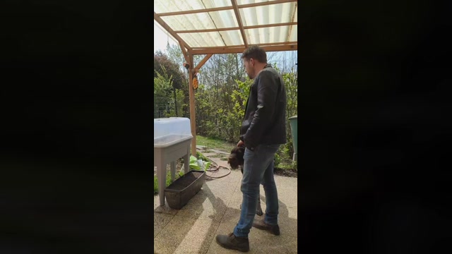 tomsauwer  18-04-2023